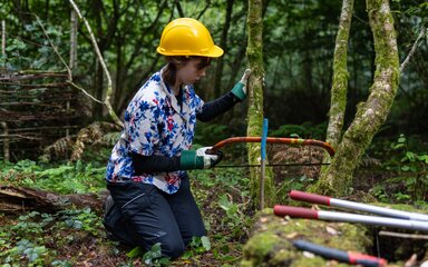 a young woman is sawing into a small tree trunk to coppice the area