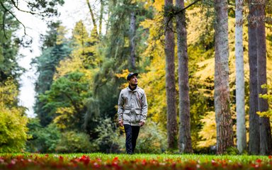 A man walks through a beautiful landscape to trees, looking up around him to admire the view.