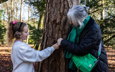 A young girl with her grandma looks closely at the bark of a tree