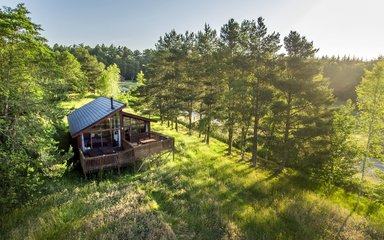 Forest Holidays cabin in the forest on a sunny day