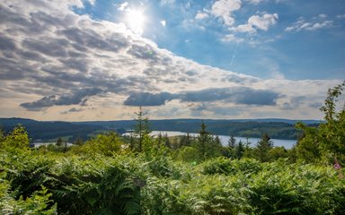 A wide view of Kielder Forest from a high point, with the sun glinting through white cloud