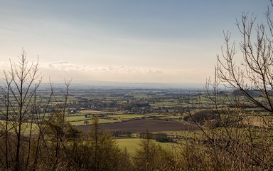 A view across an open valley with small villages and towns in the distance. With tops of trees in the foreground