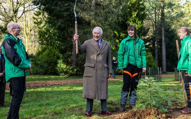 King at Westonbirt