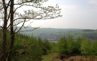 Kinsley Wood view over Knighton