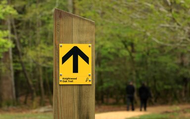 An oak post with a yellow sign with Knightwood Oak Trail and an arrow pointing ahead