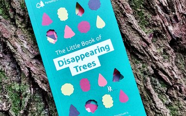 The Little book of disappearing trees positioned on a tree trunk