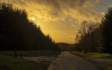 Sun setting behind trees on a steep hill