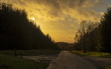 Sun setting behind trees on a steep hill 