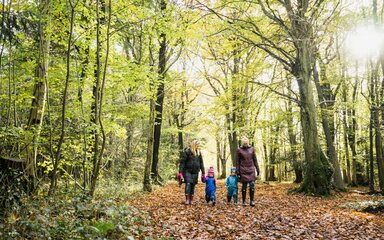 Two adults and two children walking on a woodland path covered in fallen autumn leaves.