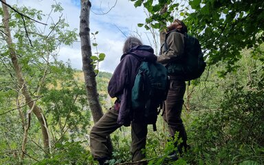 Two people in a wooded area looking up at some sorbus trees