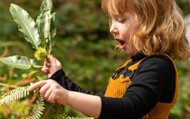 Little girl exploring spring in the forest