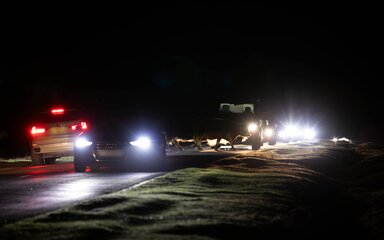 Cows crossing a New Forest road at night with heavy traffic around them