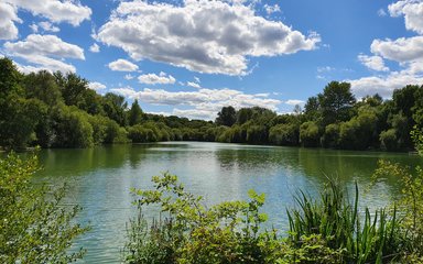 Lodge Pond Alice Holt