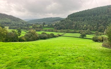 A wide landscape view of the site at Lower Lye, with green grass in the foreground with surrounding forest