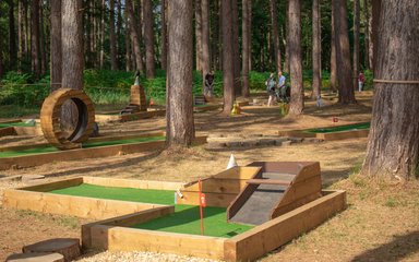 Adventure golf in woodland