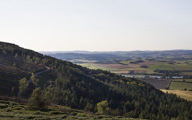 Forests of Rothbury, Simonside