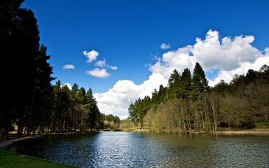 Mallards Pike, Forest of Dean