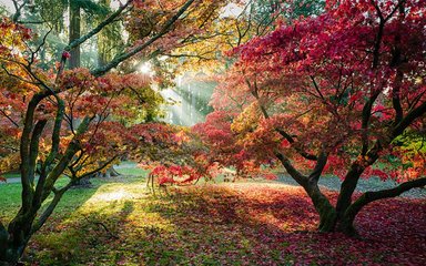 Autumn Westonbirt