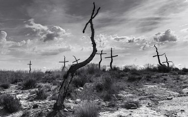 Trees in the shape of a cross