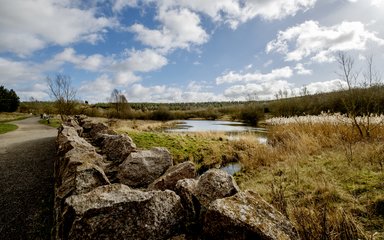 lake in the middle of marsh land beyond stone wall on sunny day 
