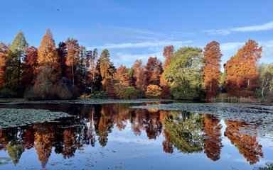 Autumn colour Marshal's Lake Bedgebury