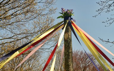 may pole