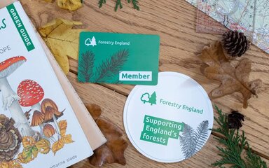Membership card and parking disc