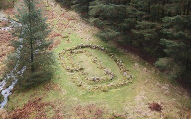 Smithy Beck Longhouse - heritage