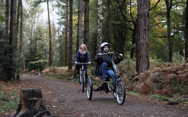 Inclusive cycling at Alice Holt Forest