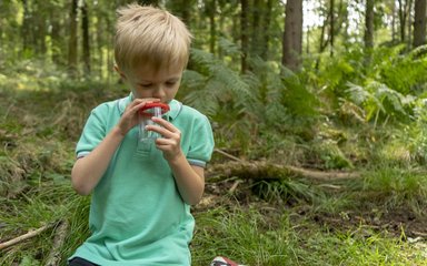 Child looking at insect in tub