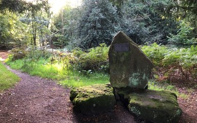 Wendover woods summit 