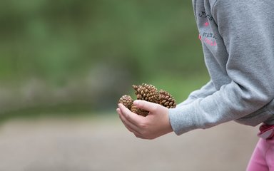 Child holding pine cones