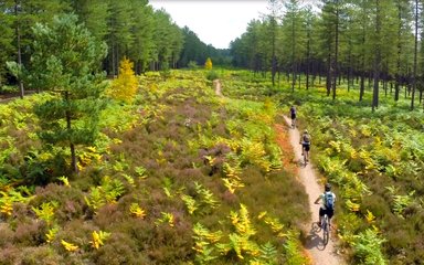 Cycling trails at Moors Valley