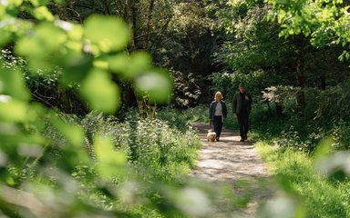 Man and woman walking dog along a path through forest