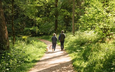 Couple walking a dog on an easy access trail