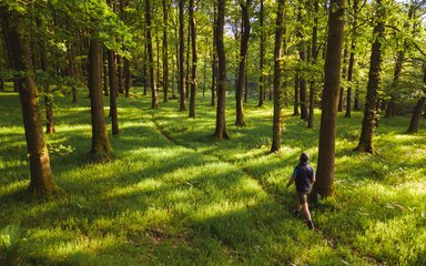 Man walking through grassy woods