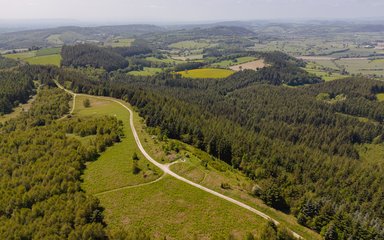 Aerial drone shot above forest with trail running through