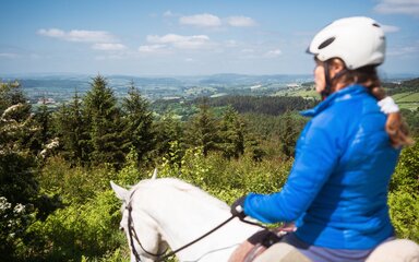 A person with a white helmet and a blue jacket on a white horse looking out to the distance