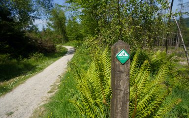 Waymarker on post next to a walking trail