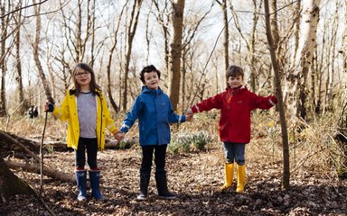 Three children in forest holding hands, and grabbing hold of trees and sticks