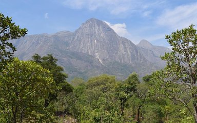 Image of the landscape in Malawi, with trees in the foreground with a mountain range behind.