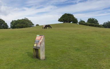 Keep Your Distance from livestock sign at Bolton's Bench