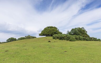 Bolton's Bench in Lyndhurst