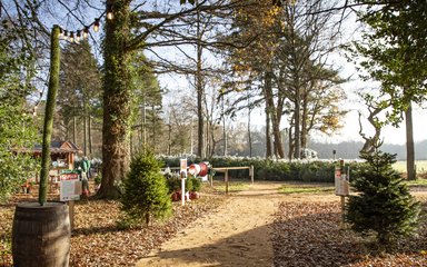 A view of the Christmas Tree sales shop in the New Forest