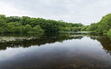 Eyeworth Pond