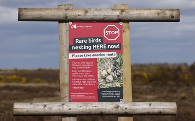 A red sign saying rare birds nesting here and please take another route