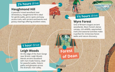Map of forests near the Forest of Dean