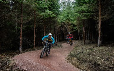 Female mountain bike rider on a forest trail