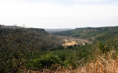 A glacial valley with forest and moorland