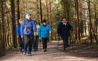 People enjoying Nordic Walking in the forest